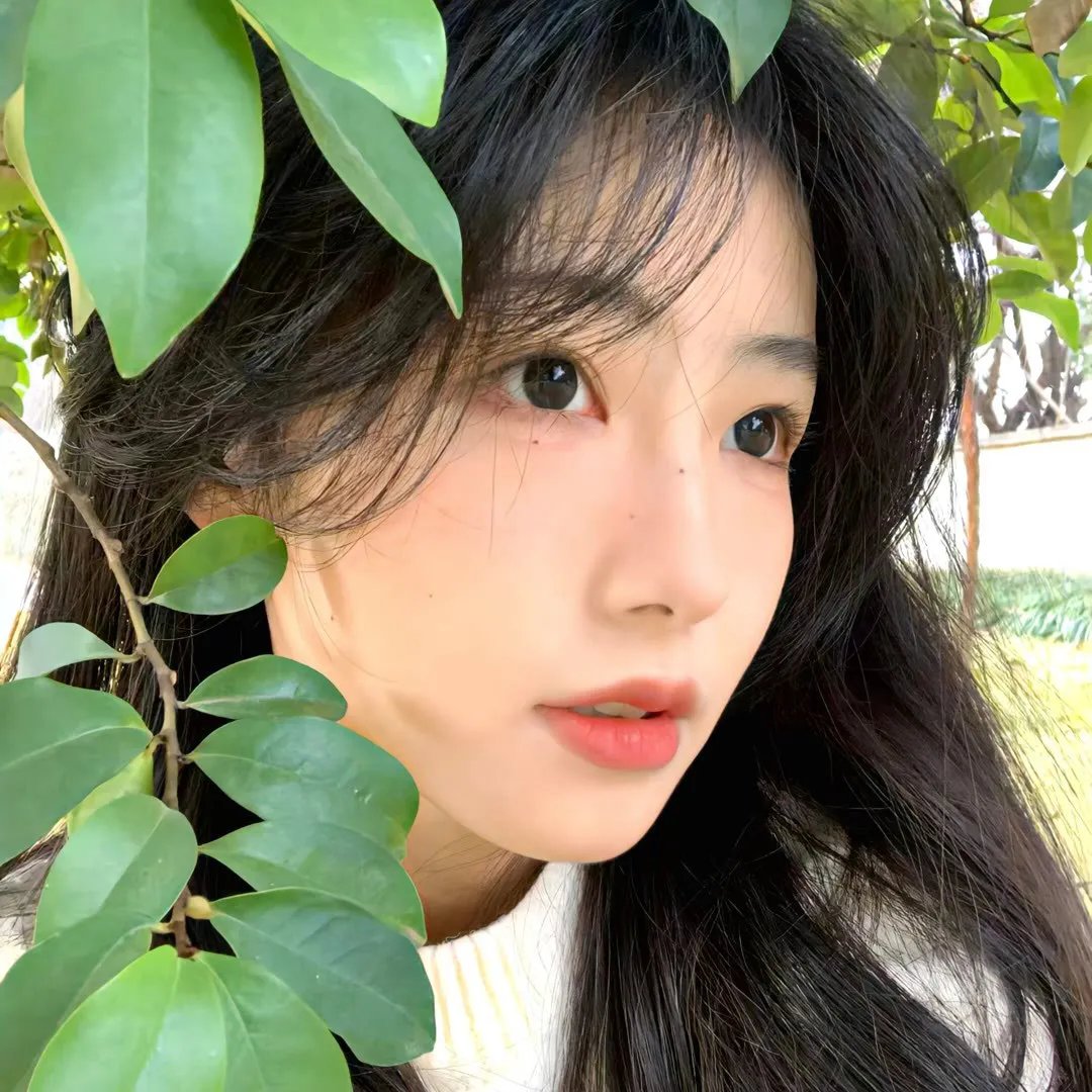十二猴子